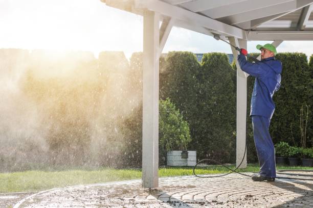 Best Vinyl Siding Pressure Washing in Fernley, NV